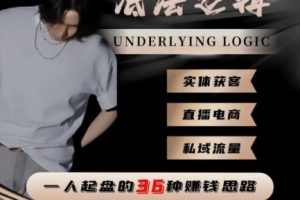 一个人起盘的底层逻辑，私域流量-直播电商-实体获客，一人起盘的36种賺钱思路