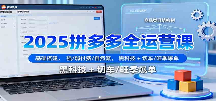 2025拼多多全运营课：基础搭建，强/弱付费/自然流，黑科技+切车/旺季爆单网赚项目-副业赚钱-互联网创业-资源整合白嫖の网赚