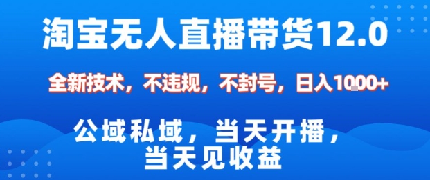 淘宝无人直播12.0，公域私域技术，不封号，不违规布局双十一流量风口，日入1k（独家技术）【揭秘】网赚项目-副业赚钱-互联网创业-资源整合白嫖の网赚