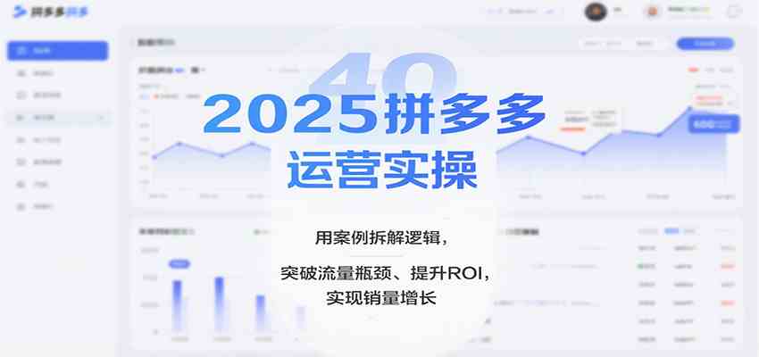 2025拼多多运营实操，用案例拆解逻辑，突破流量瓶颈、提升ROI，实现销量增长网赚项目-副业赚钱-互联网创业-资源整合白嫖の网赚