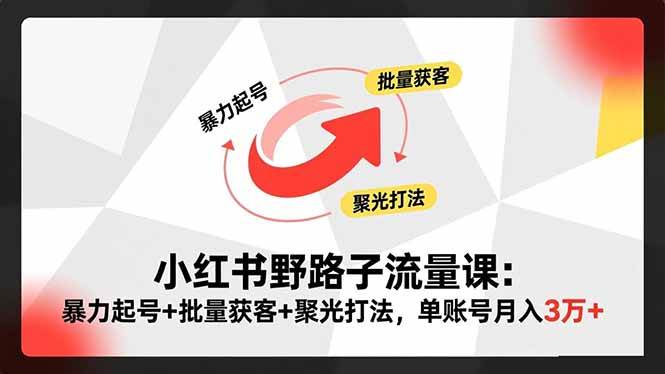 （16513期）小红书野路子流量课：暴力起号+批量获客+聚光打法，单账号月入3万+网赚项目-副业赚钱-互联网创业-资源整合白嫖の网赚