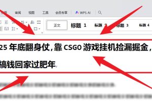 （16533期）25年底翻身仗，靠CSGO游戏挂机捡漏掘金，搞钱回家过肥年