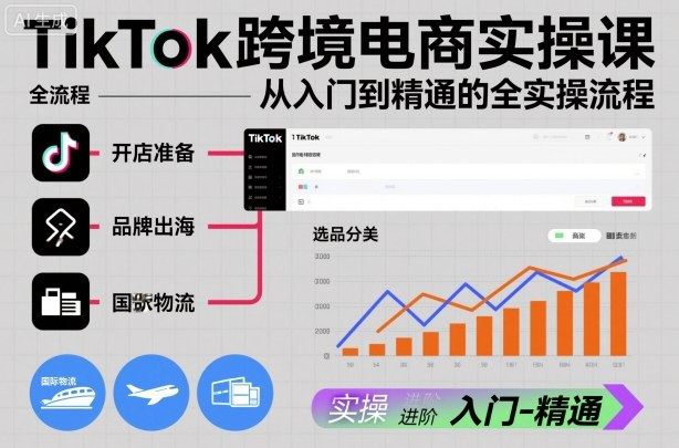TikTok跨境电商实操课，从入门到精通的全实操流程网赚项目-副业赚钱-互联网创业-资源整合白嫖の网赚