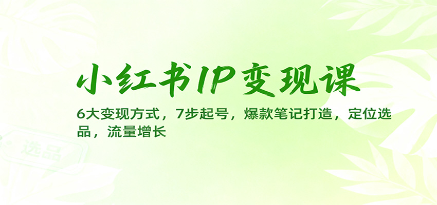 小红书IP变现课：6大变现方式，7步起号，爆款笔记打造，定位选品，流量增长网赚项目-副业赚钱-互联网创业-资源整合白嫖の网赚