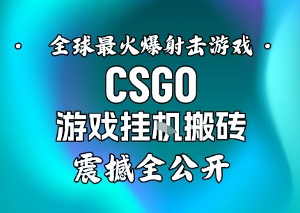 【年底大揭秘】基于全球最火爆的射击CSGO游戏挂G搬砖，日入5张+，震撼公开网赚项目-副业赚钱-互联网创业-资源整合白嫖の网赚