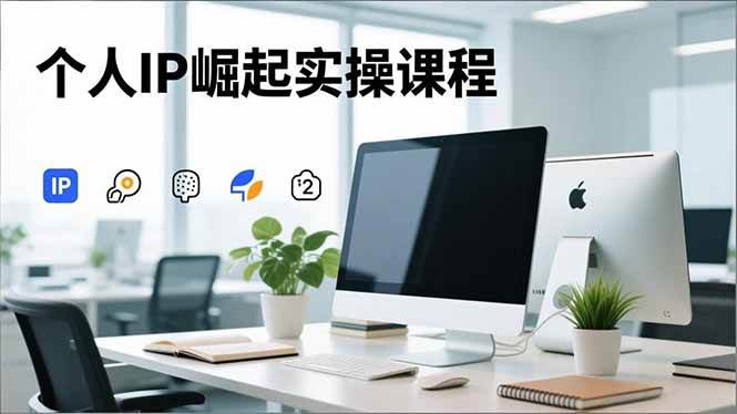 （16616期）个人IP崛起实操课程，IP思维塑造+赛道精准调研+账号高变现搭建+内容创作网赚项目-副业赚钱-互联网创业-资源整合白嫖の网赚