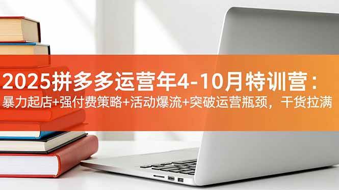 （16642期）2025拼多多运营年4-10月特训营：暴力起店+强付费策略+活动爆流+突破运营瓶颈，干货拉满网赚项目-副业赚钱-互联网创业-资源整合白嫖の网赚