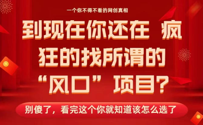 马上26年了，你还在找所谓的风口项目？别傻了，看完这个你全都懂了！【揭秘】网赚项目-副业赚钱-互联网创业-资源整合白嫖の网赚