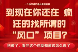 马上26年了，你还在找所谓的风口项目？别傻了，看完这个你全都懂了！【揭秘】