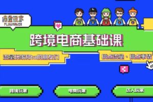 TikTok跨境电商基础课，专为想深耕跨境赛道的粉丝打造，解决抖音外站教学限制痛点