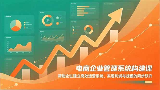（16643期）电商企业管理系统构建课：帮助企业建立高效运营系统，实现利润与规模的同步跃升网赚项目-副业赚钱-互联网创业-资源整合白嫖の网赚