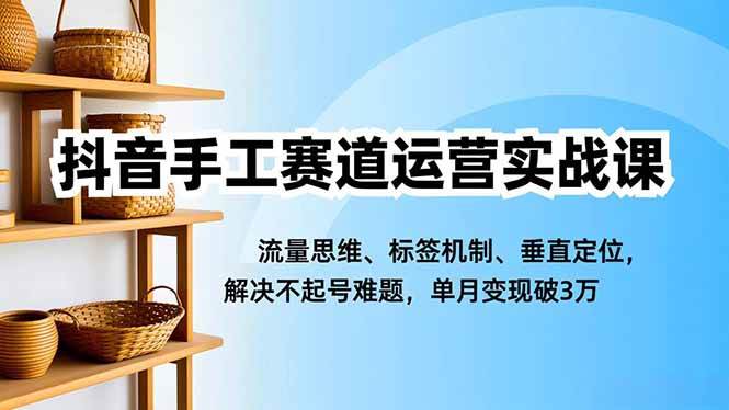 （16667期）抖音手工赛道运营实战课，流量思维、标签机制、垂直定位，解决不起号难题，单月变现破3万网赚项目-副业赚钱-互联网创业-资源整合白嫖の网赚
