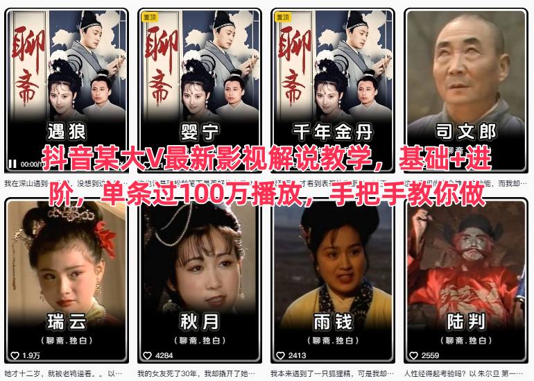 抖音某大V最新影视解说教学，基础+进阶，单条过100万播放，手把手教你做网赚项目-副业赚钱-互联网创业-资源整合白嫖の网赚