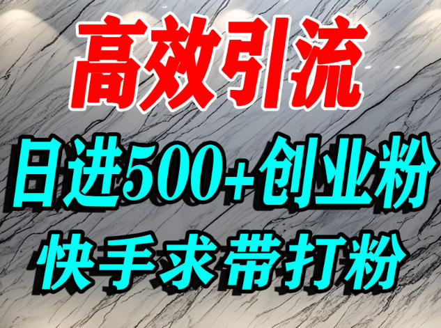 怎么打创业粉？快手求带视角精准引流创业粉，宝妈、学生群体日进500+精准流量网赚项目-副业赚钱-互联网创业-资源整合白嫖の网赚