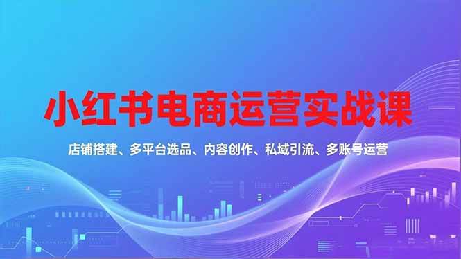 （16695期）小红书电商运营实战课，店铺搭建、多平台选品、内容创作、私域引流、多账号运营等玩法网赚项目-副业赚钱-互联网创业-资源整合白嫖の网赚