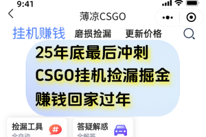 用CSGO游戏挂机捡漏掘金赚钱掘金，一部手机轻松日入500+
