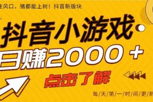 (16832期)2025年爆火的抖音小游戏项目,一部手机日入2000+