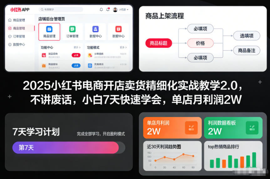 2025小红书电商开店卖货精细化实战教学2.0，不讲废话，小白7天快速学会，单店月利润2W网赚项目-副业赚钱-互联网创业-资源整合白嫖の网赚
