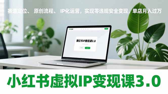 （17029期）小红书虚拟IP变现课3.0，赛道定位、原创流程、IP化运营，实现零违规安全变现，单店月入过万网赚项目-副业赚钱-互联网创业-资源整合白嫖の网赚