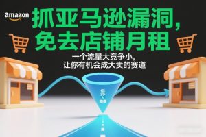 抓亚马逊漏洞，免去店铺月租，一个流量大竞争小，让你有机会成大卖的赛道