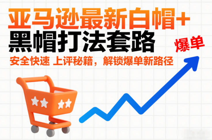 亚马逊最新白帽+黑帽打法套路，安全快速上评秘籍，解锁爆单新路径网赚项目-副业赚钱-互联网创业-资源整合白嫖の网赚