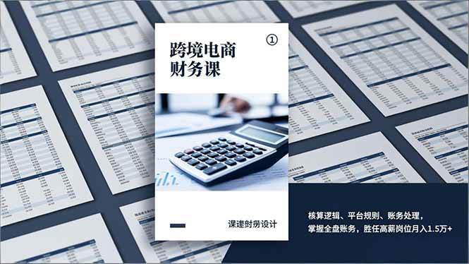 （17036期）跨境电商财务课，核算逻辑、平台规则、账务处理，掌握全盘账务，胜任高薪岗位月入1.5万+网赚项目-副业赚钱-互联网创业-资源整合白嫖の网赚