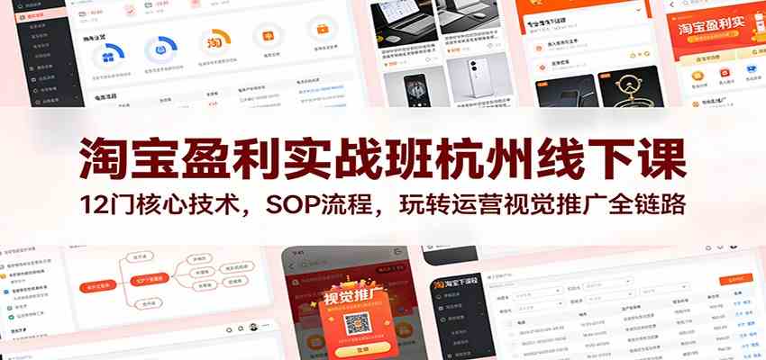 淘宝盈利实战班杭州线下课：12门核心技术，SOP流程，玩转运营视觉推广全链路网赚项目-副业赚钱-互联网创业-资源整合白嫖の网赚
