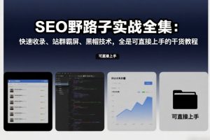 SEO野路子实战全集：快速收录、站群霸屏、黑帽技术，全是可直接上手的干货教程