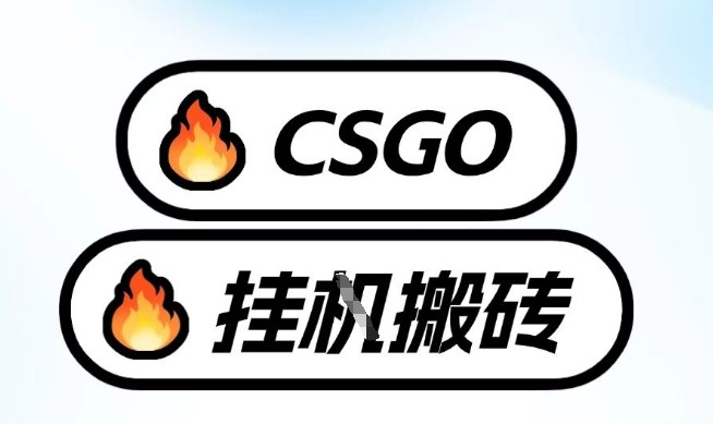 真全网独家CSGO挂G，最新玩法,单日捡漏1K+，不用电脑，不用打游戏【揭秘】网赚项目-副业赚钱-互联网创业-资源整合白嫖の网赚