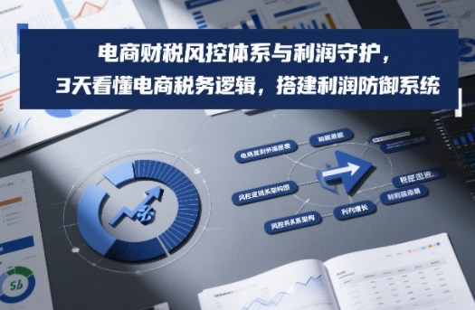 电商财税风控体系与利润守护，3天看懂电商税务逻辑，搭建利润防御系统网赚项目-副业赚钱-互联网创业-资源整合白嫖の网赚