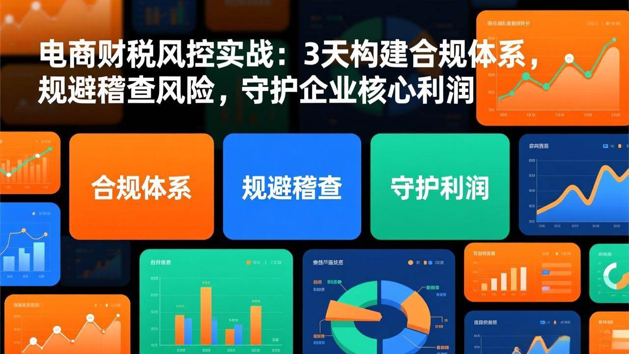 （17197期）电商财税风控实战：3天构建合规体系，规避稽查风险，守护企业核心利润网赚项目-副业赚钱-互联网创业-资源整合白嫖の网赚