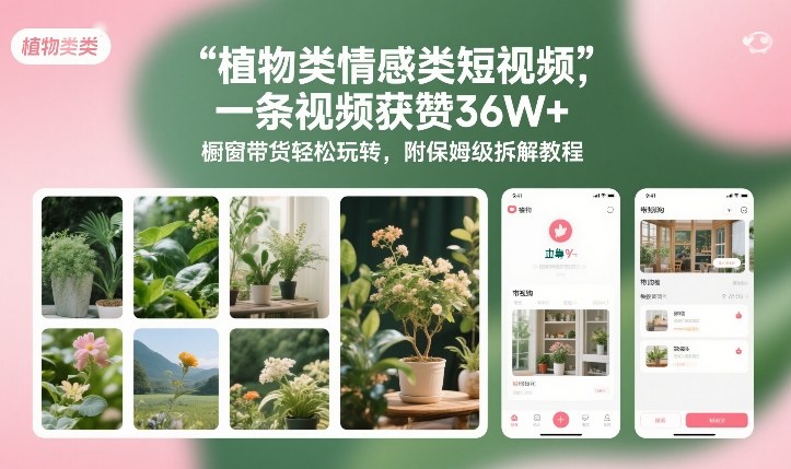 植物类情感类短视频，一条视频获赞36W+，橱窗带货轻松玩转，附保姆级拆解教程网赚项目-副业赚钱-互联网创业-资源整合白嫖の网赚