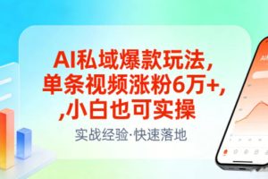 AI私域爆款玩法，单条视频涨粉6W+，小白也可实操