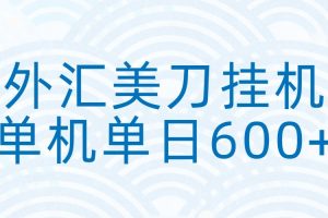 外汇美刀挂机：全自动挂机赚美金，单机600+