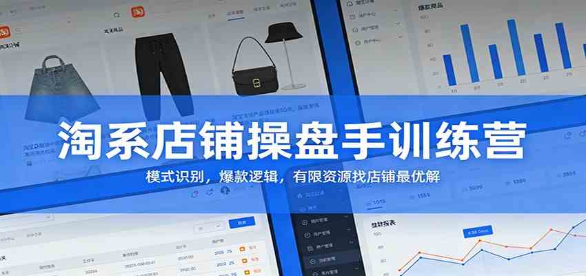 淘系店铺操盘手训练营:模式识别,爆款逻辑,有限资源找店铺最优解网赚项目-副业赚钱-互联网创业-资源整合白嫖の网赚