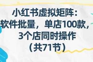 (17271期)小红书虚拟矩阵:软件批量发笔记,单店100款,3个店同时操作(共71节)