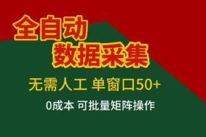 全自动数据采集项目，无需人工，单窗口可达50+收益，操作简单无难度，一个人也能轻松实现矩阵【揭秘】
