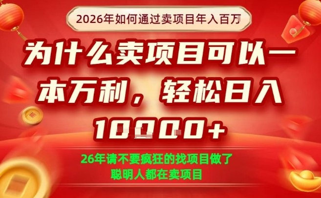一单净利润1K+，26年想年入100个W，死磕卖项目就够了【揭秘】网赚项目-副业赚钱-互联网创业-资源整合白嫖の网赚