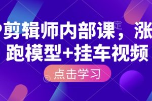 IP剪辑师内部课，涨粉跑模型+挂车视频（更新）
