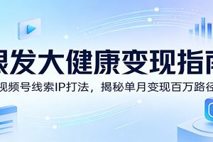 银发大健康变现指南：视频号线索IP打法，揭秘单月变现百万路径