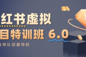小红书虚拟项目特训课8.0，帮你从0到1打造稳定盈利的店铺，抓住流量红利（更新3月）