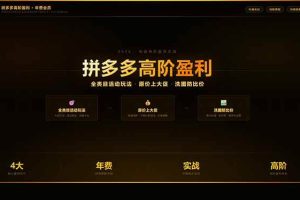 (17848期)拼多多高阶盈利年费会员(更新3月31):全类目活动玩法、原价上大促、洗图防比价等核心盈利技术