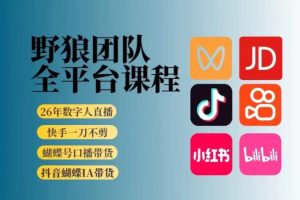 野狼团队2026新版全平台短视频带货教学,打开流量突破口,开始Ai带货(更新26年3月20日)