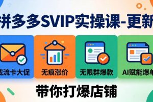 (17912期)拼多多SVIP实操课-26年4月,截流卡大促+无痕涨价+无限群爆款+AI赋能爆单新玩法,带你打爆店铺