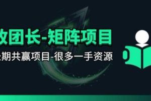 【团长合作】视频矩阵项目_招发手矩阵+剪辑师，共赢项目【揭秘】