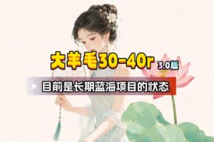 【大羊毛】几分钟30-40r，【流量体联盟】，可以矩阵，操作无脑简单