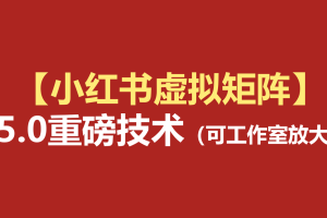小红书虚拟矩阵5.0：AI原创虚拟品+4带1自动化AI发笔记+测款怼款双模式（可工作室放大