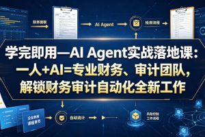 学完即用—AI Agent实战落地课：一人+AI=专业财务、审计团队，解锁财务审计自动化全新工作模式（更新0804）