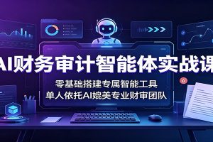 AI财务审计智能体实战课:零基础搭建专属智能工具,单人依托AI媲美专业财审团队