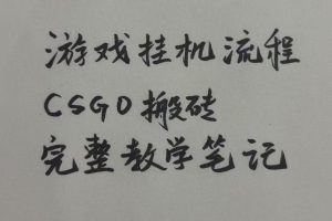 游戏挂G全流程笔记分享,CSGO游戏搬砖,小白看了当天学会见收益【揭秘】